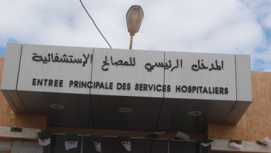 Photo of بركاني: المستشفيات هي الوحيدة للتعاطي مع البروتوكول وليس المواطنين
