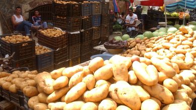 Photo of الديوان الوطني “اونيلاف” يطمئن…مخزونات البطاطا تكفي لسد احتياجات الجزائريين لعدة أشهر