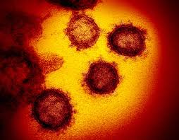 Photo of “منشأ فيروس كورونا” يثير حفيظة أستراليا: قلقنا بلغ نقطة عالية جدا