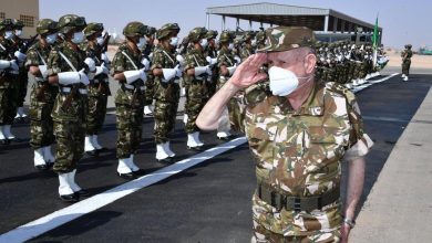 Photo of شنڤريحة: «الإحترافية والإخلاص أهم معايير بلوغ أعلى المراتب وتقلد أسمى المسؤوليات»