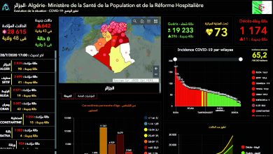 Photo of العاصمة الأولى بـ 98 إصابة ووهران الثانية بـ 42 حالة… توزيع عدد الإصابات المؤكدة بالفيروس عبر الولايات