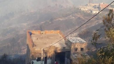 Photo of الحرائق تلحق أضرارا بـ 20 منزلا بقرى سطيف