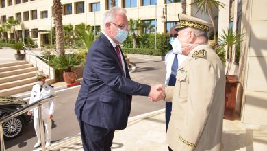 Photo of خلال استقبال الفريق شنڤريحة لديميتري شوفاييف… محادثات حول التعاون العسكري الجزائري الروسي