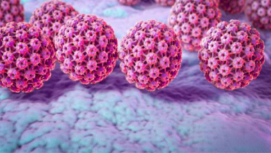 Photo of دراسة تزعم أن فيروس “المفجّر الشبح” قد يكون سلاحا قاتلا جديدا ضد السرطان