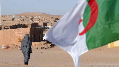 Photo of بعد مقال فرنسي مغلوط حول سيطرة البوليساريو على ولاية تندوف… الجزائر تشدد لهجتها