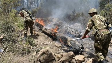 Photo of حرائق الغابات:  تعويض الفلاحين المتضررين لن يكون نقدًا