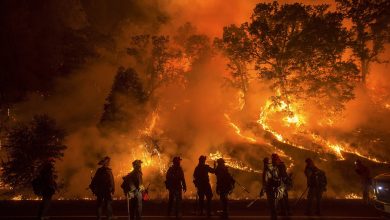 Photo of الحرائق الأخيرة إلتهمت أزيد من 89 ألف هكتار عبر 35 ولاية