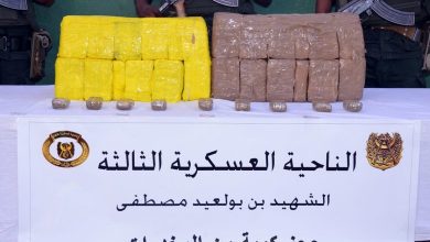 Photo of ضبط أزيد من 11 قنطار من المخدرات أدخلت من المغرب