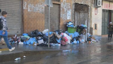 Photo of النفايات المنزلية تشل حركة ترامواي وهران وعمال مؤسسة إزالة القمامة يواصلون إضرابهم