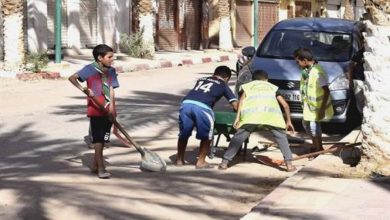 Photo of النعامة:  حملة تحسيسية “تحت شعار من أجل مدينة نظيفة” عبر محلات المشرية