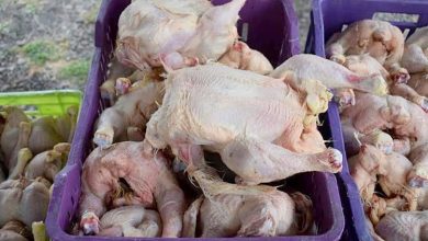 Photo of حجز 375 كلغ من اللحوم البيضاء غير صالحة للاستهلاك البشري بوهران  