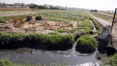 Photo of الدرك الوطني يكشف عملية سقي منتجات زراعية بالمياه القذرة بالصبحة في الشلف 