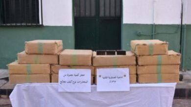 Photo of توقيف 13 عنصر دعم للإرهاب وحجز قنطاري مخدرات في الحدود مع المغرب