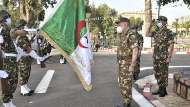 Photo of دعوة إلى “الانخراط بقوة” في مبادرة “اليد الممدودة” التي أعلن عنها الرئيس تبون