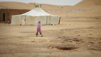 Photo of مخيمات اللاجئين الصحراويين.. الجزائر تنسف الحجج الواهية للمغرب