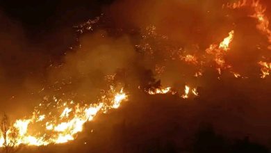 Photo of في ظرف 24 سا تسجيل 118 حريقا عبر 21 ولاية