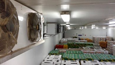 Photo of حجز ما يقارب 527000 وحدة من الأدوية في غرفة تبريد خاصة بتخزين البطاطا بالعطاف في عين الدفلى