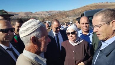 Photo of وزير الفلاحة: الشروع في تعويض الفلاحين المتضررين من الحرائق بعد وصول تقارير اللجان