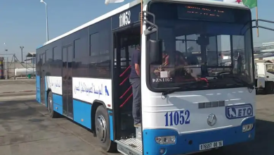 Photo of  فتح خط جديد للحافلات بين وسط مدينة وهران مطار أحمد بن بلة