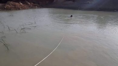 Photo of وفاة أم وطفلتيها غرقا بمجمع مائي في تلمسان