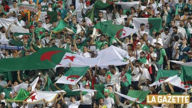 Photo of الجزائر/غينيا: بلايلي يدخل في الشوط الثاني والجمهور يطالب بمحرز وعمورة