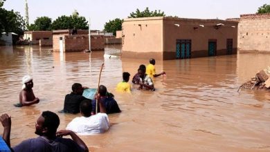 Photo of الجزائر تعرب عن تضامنها مع النيجر إثر الفيضانات الكارثية