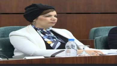 Photo of الوزيرة مولوجي تلف على رقبتها بوشاح الزليج بالبرلمان