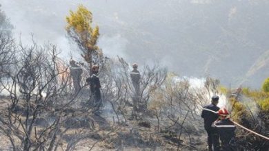 Photo of القبض على شخصين تورطا في إضرام النار بغابات تنس في الشلف