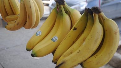 Photo of رزيق: الظروف الدولية ساهمت في رفع سعر “الموز” في السوق