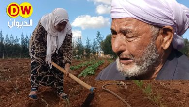 Photo of وساطة الجمهورية تتدخل للتكفل بالفلاح “مويلح” بعد نقل قناة الديوان DW مشكلته