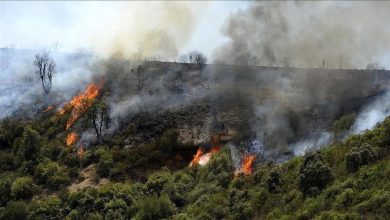 Photo of إجراءات استباقية لحماية المحاصيل الزراعية من أخطار الحرائق