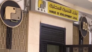 Photo of منصة رقمية لمتابعة وتسيير القروض قريبا ببنك التنمية المحلية BDL