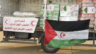 Photo of معسكر: توزيع مساعدات غذائية لفائدة 130 تلميذة من الصحراء الغربية