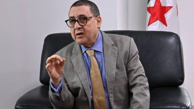 Photo of وزير الداخلية: لم يتم تسجيل أي خسائر بشرية نتيجة التقلبات الجوية