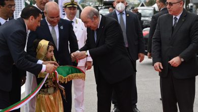 Photo of رئيس الجمهورية يؤكد حرص الجزائر على إقامة شراكة استراتيجية مع ايطاليا