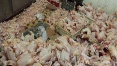 Photo of أمن وهران يكتشف ورشة سرية لتجزئة الدجاج ويحجز 6 قناطير و16 كلغ من اللحوم البيضاء عشية العيد