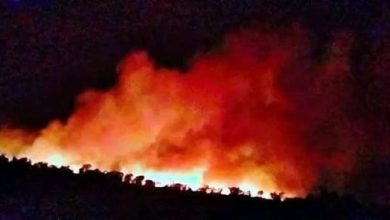 Photo of والي ولاية بجاية: الدولة ستعوض كل مواطن متضرر من الحرائق