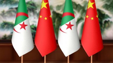 Photo of الرئيس تبون: الجزائر تسعى بشراكتها مع الصين إلى تعزيز مكانتها أفريقيًا
