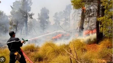 Photo of وزير الفلاحة: الإعتماد على الأقمار الصناعية في مكافحة الحرائق بداية من العام المقبل