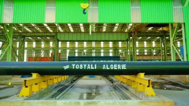 Photo of توسيالي الجزائر: أرقام قياسية عالمية في انتاج الحديد.. قرابة 500 مليون دولار حجم معاملات 5 أشهر الأولى من 2023