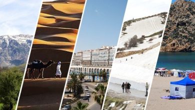 Photo of وزير السياحة:كل المؤشرات تدل على تطور القطاع السياحي بالجزائر