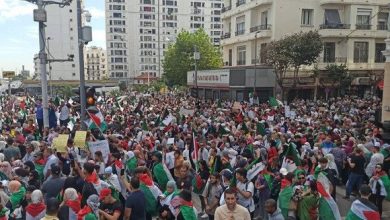 Photo of مسيرات شعبية حاشدة عبر ربوع الوطن دعما للشعب الفلسطيني وتنديدا بالإبادة التي يتعرض لها