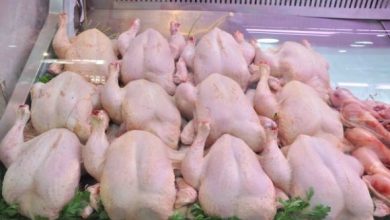 Photo of فلاحة: انخفاض أسعار اللحوم البيضاء في أسواق الجملة بفضل الاجراءات المتخذة في اغسطس