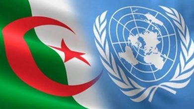 Photo of الأمم المتحدة تشيد بجهود الجزائر في حماية حقوق الإنسان