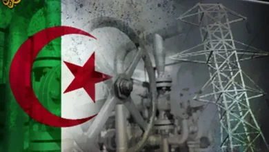Photo of تفعيل آليات المرافقة والرقابة لتحسين مناخ الاستثمار بالجزائر