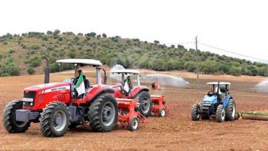 Photo of قسنطينة: تخصيص 91 ألف هكتار لزراعة الحبوب
