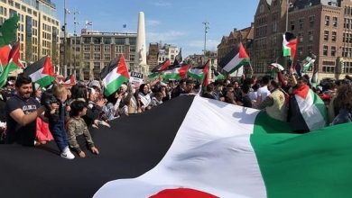 Photo of آلاف المتظاهرين في روتردام تنديدا بالعدوان الصهيوني على قطاع غزة