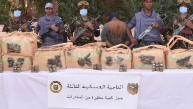 Photo of وزارة الدفاع: توقيف 7 عناصر دعم للجماعات الإرهابية وضبط أزيد من 7 قناطير من الكيف المغربي خلال أسبوع