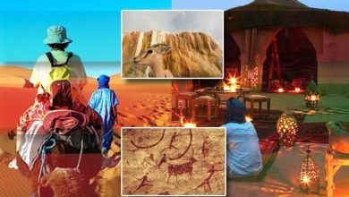 Photo of سياحة صحراوية: الدعوة إلى عصرنة وسائل الترويج للمعالم والمواقع السياحية بولاية المنيعة