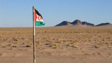 Photo of الصحراء الغربية: التنديد بمواصلة الاحتلال المغربي انتهاج سياسة الأرض المحروقة